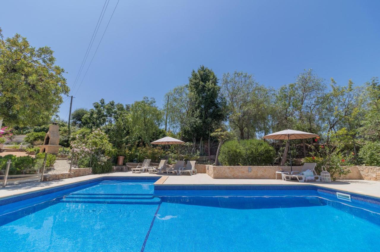 Farm Of Dreams Algarve Villa Almancil Eksteriør bilde